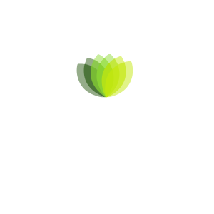 Liliadon-01 A